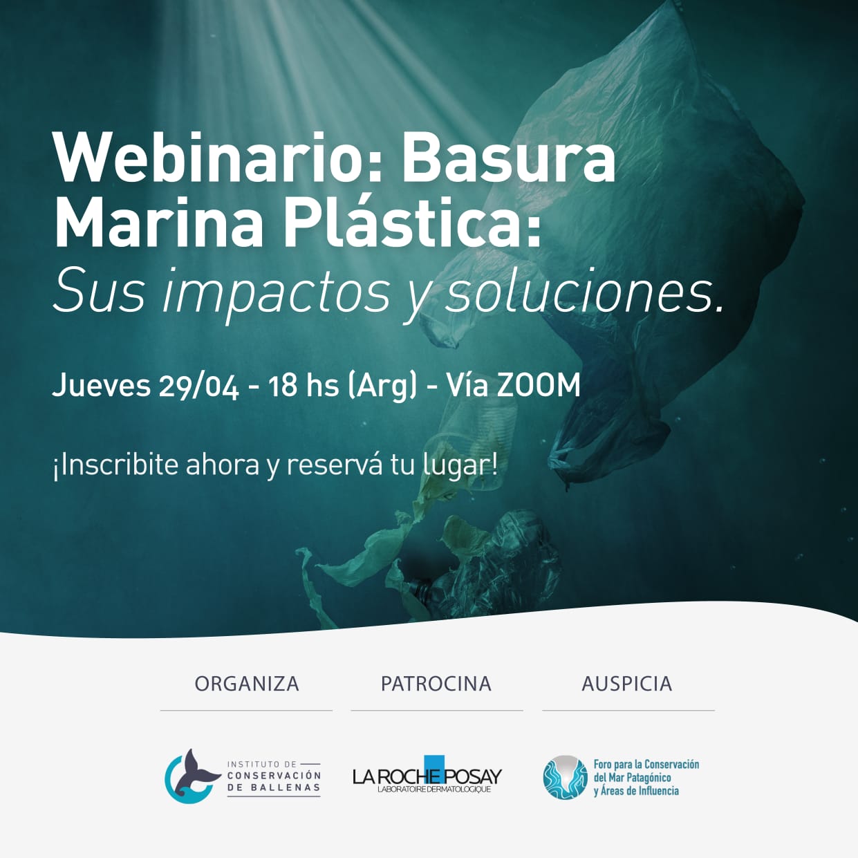 En este momento estás viendo Presentes en el webinario Basura Marina Plástica. Sus impactos y soluciones